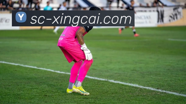 踢足球的英文翻译及相关表达方式详解与应用指南